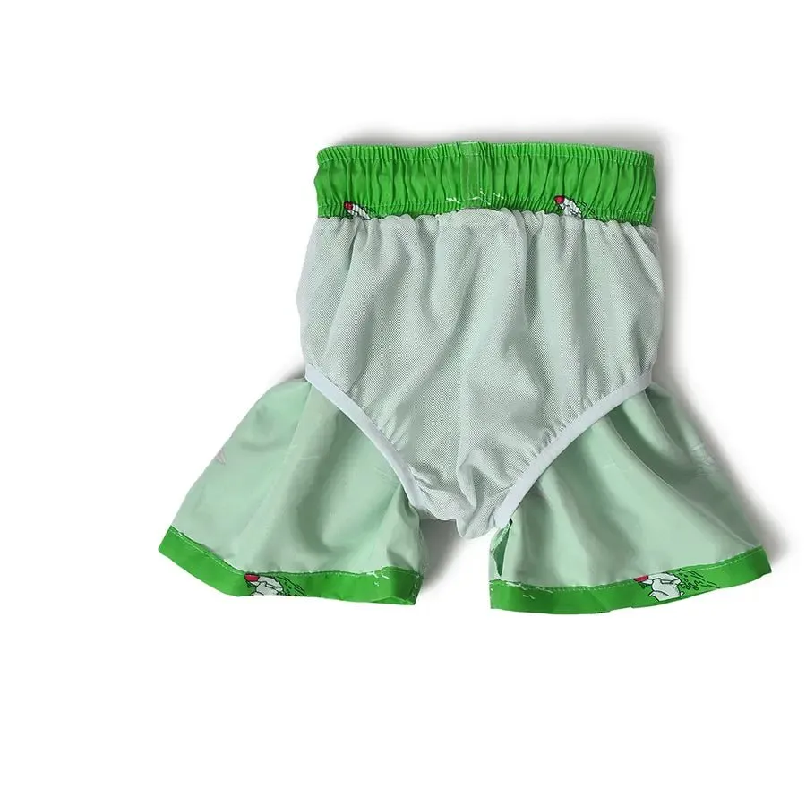 Boys Swimwear Shorts