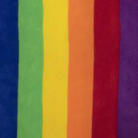 PRIDE Anti Pill Rainbow Fleece - Purple
